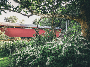 Guths Bridge from the Foliage