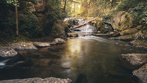 Wild Creek Falls Ahead   Wide