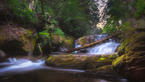 Wild Creek Falls River Side