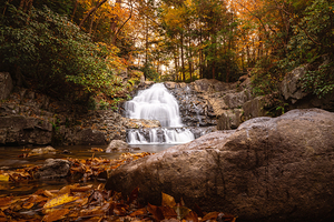 Hawk Falls in Autumn Creekside View
