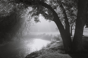 Light on Jordan Creek