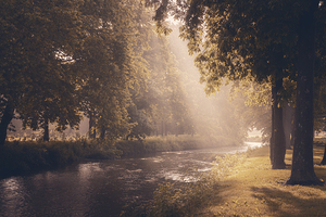 Moody Sunlight on Jordan Creek