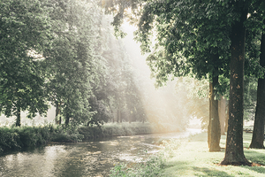 Jordan Creek Morning Light