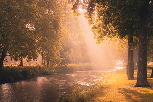 Golden Sunlight on Jordan Creek