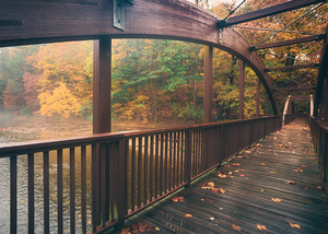 Ford Pedestrian Bridge Long Autumn View