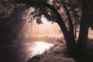 Misty Jordan Creek in Covered Bridge Park   Dark