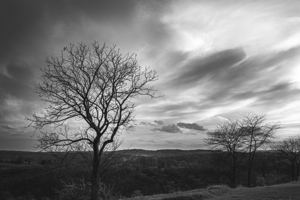 April Clouds   Trexler Nature Preserve