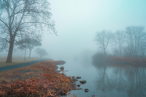 Looking East on Foggy Lake Muhlenberg