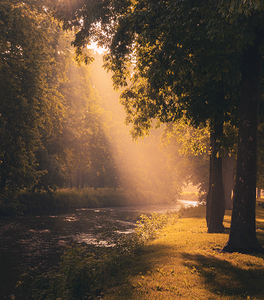 Sunlight on Jordan Creek