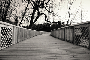 Jordan Creek Greenway Boardwalk Black and White