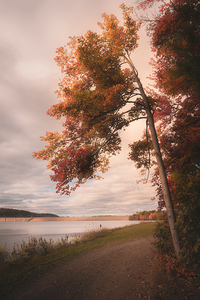 Leaning Into Autumn