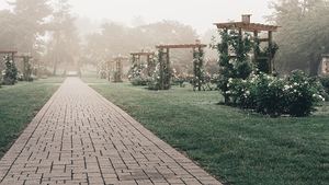 Arbors Along the Stone Pathway