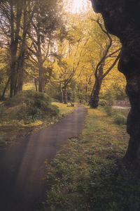 Sunlight on Monocacy Park Pathways