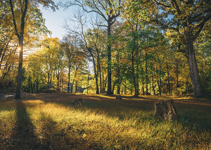 Hunsickers Grove Fall Fields
