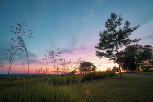 Blue Hour Trexler Nature Preserve
