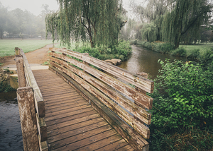 Cedar Creek Park Footbridge Misty Morning
