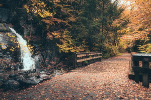 Buttermilk Falls and DL Trail in Autumn