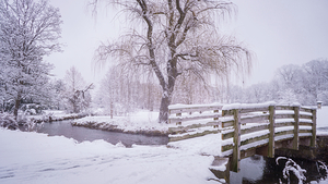 Cedar Creek Park Winter Landscape