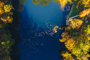 Hunsickers Grove Autumn Aerial