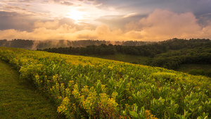 Lehigh Valley Late Afternoon Storms