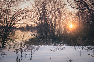 Trexler Park Winter Meadow Sunrise