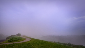 Fog on the Observation Trail