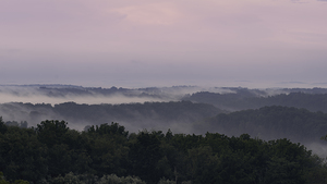 Fog on the Preserve
