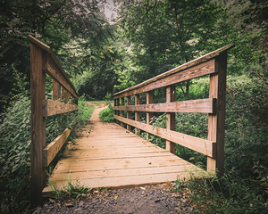 Firemans Trail Wooden Footbridge