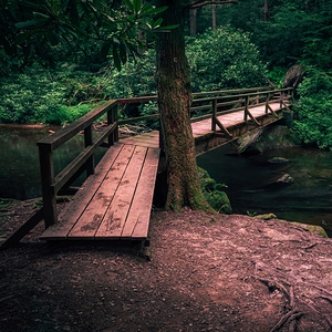 Wild Creek Cove Footbridge