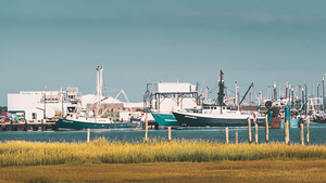 Lunds Fisheries