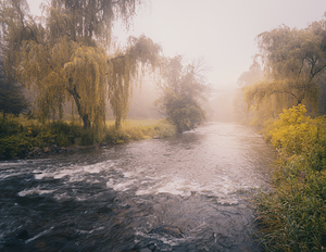 Misty View Down the Little Lehigh