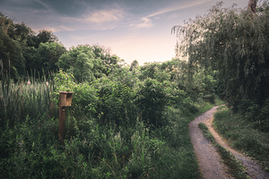 Lehigh Parkway   Back Paths