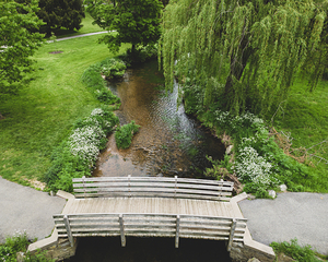 Cedar Creek Park Aerial I