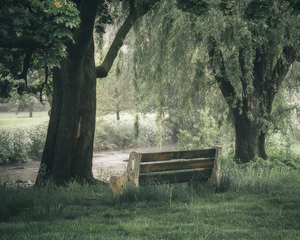 Bench Along the River