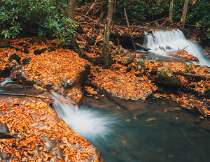 Buck Mountain Creek Autumn Falls