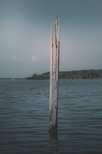 Left Behind