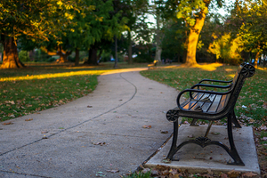 West Park Bench and Pathway