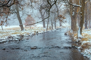 Cedar Creek Snowing