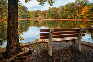 Bench at Ice Lake Park Poconos