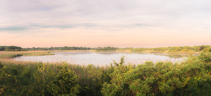 Bunker Pond June Landscape in Cape May