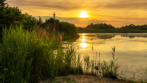 Cape May Lighthouse Sunset from Bunker Pond - Wide
