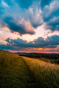 Clear Path at Dusk