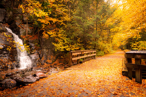 Dreaming of Fall on the D&L Trail