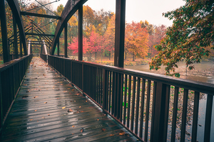 Fall View on the Wooden Pedestrian Bridge