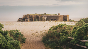 Fort Miles Battery 223