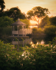 Gazebo Sunset Natural Surroundings