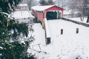 Snowy Bogert Bridge From Behind the Pine Tree
