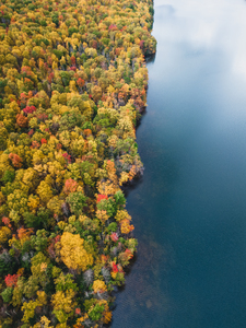 Southern Shore of Mauch Chunk Lake in October