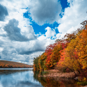 Fall at Mauch Chunk Lake Shoreline Square