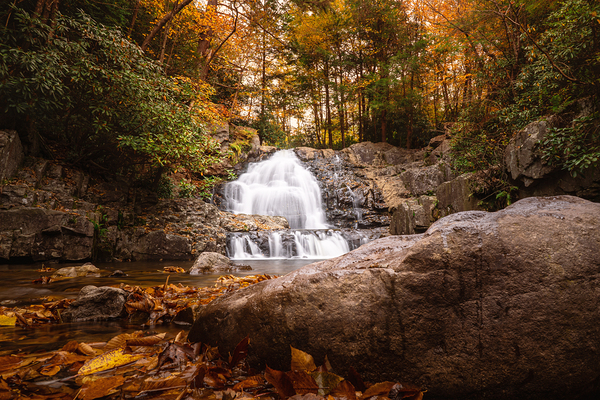 Hawk Falls in Autumn Creekside View Print